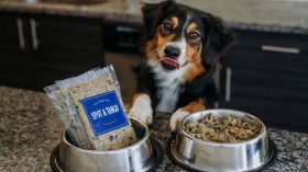 Veterinarija